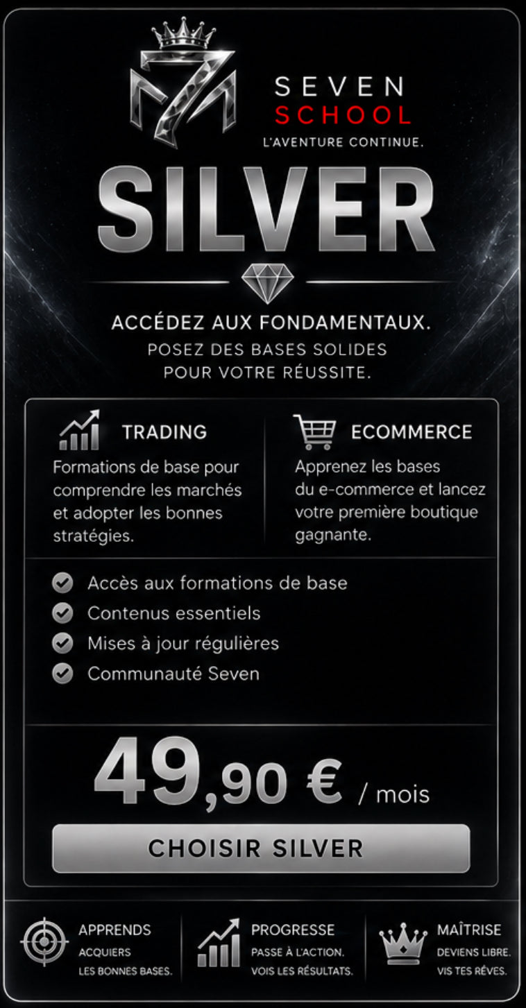 SEVEN SILVER — E-commerce