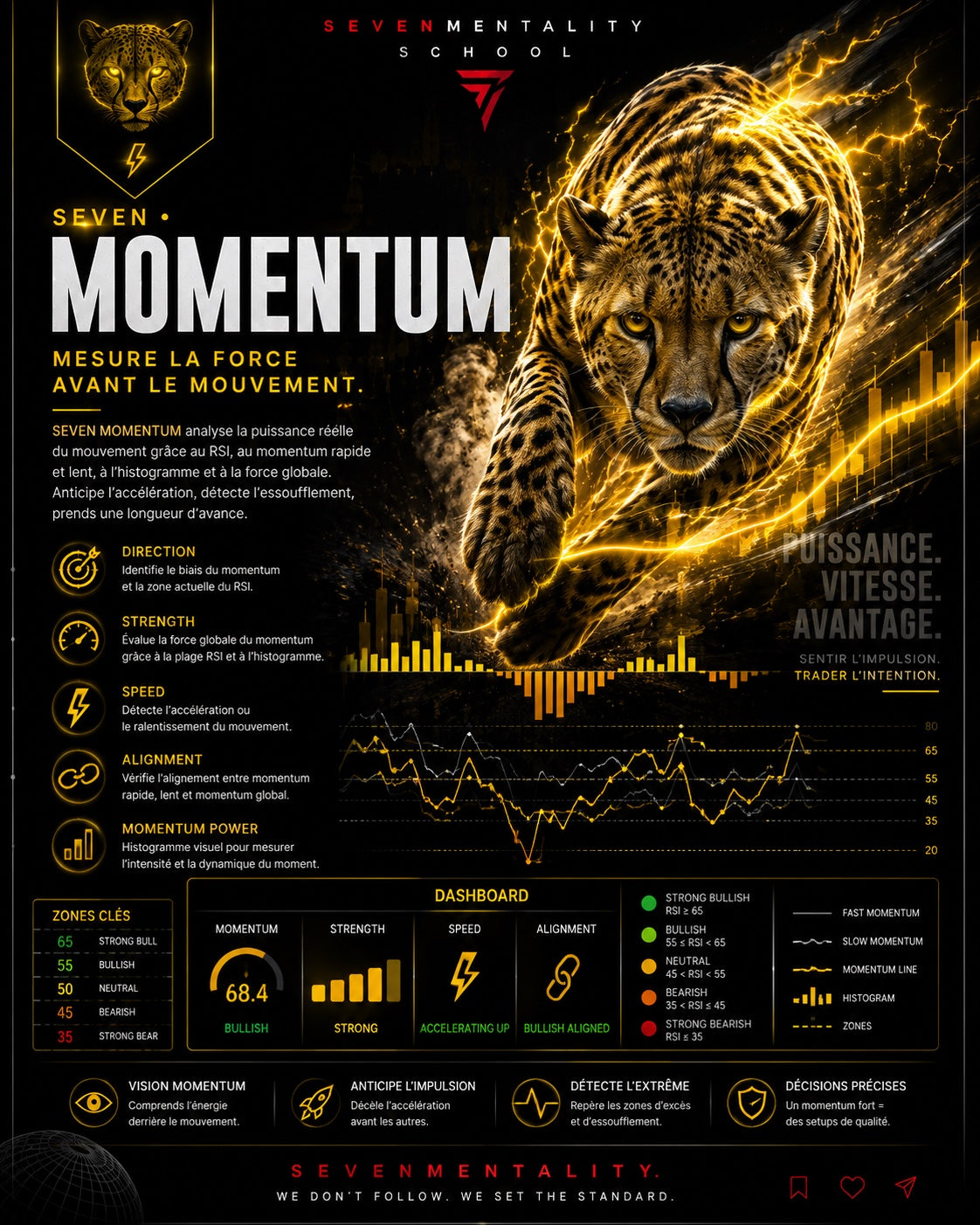 Affiche SEVEN MOMENTUM